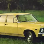 Chevrolet Chevy Standard 1973